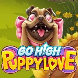 Go High Puppy Love casino game by RubyPlay – featured logo at Betrepublic Casino